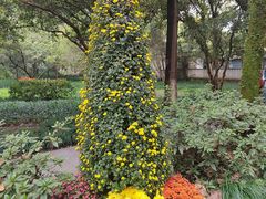 -杭州植物园