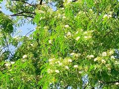 -白鹭湾湿地公园