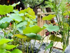-田园印象·成都土菜院子(华阳店)