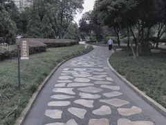-神仙树公园