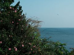 -养马岛旅游度假区