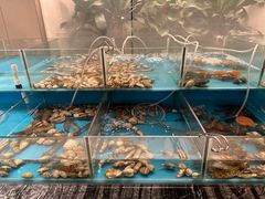 -厦门艾美酒店·新食谱西餐厅