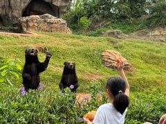 -海南热带野生动植物园