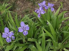 -宁波儿童公园(鄞州区)