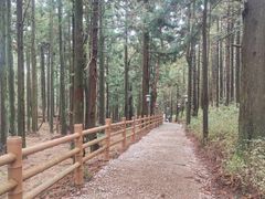 -天姥山景区