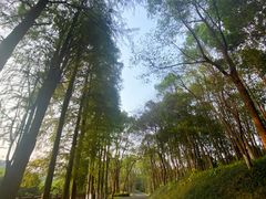 -常德桃花源景区