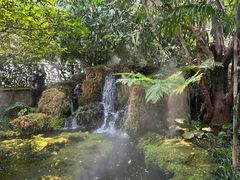 -Chom Cafe and Restaurant