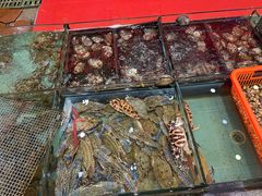 -天天海鲜城·海鲜大排档(新溪店)