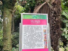 -呀路古热带植物园