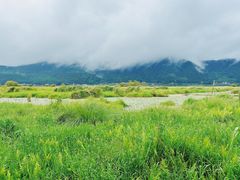 -腾冲北海湿地