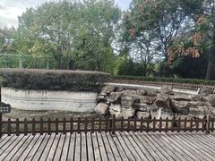 -南京国睿金陵大酒店
