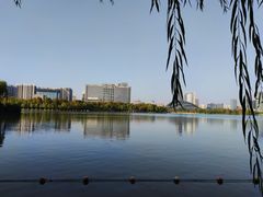 -天鹅湖体育公园
