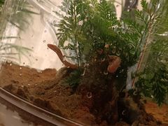 -杭州平安悦坊 PAFC LIVING
