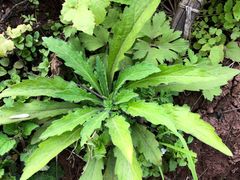 -赵伍面庄(松石大道店)