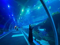 -成都浩海立方海洋公园