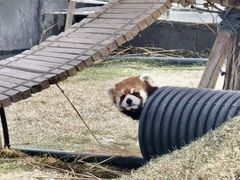 -水上乐园·欢乐世界