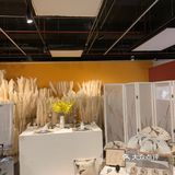 倪妮拍过照片的美术馆！民国风国立美术馆