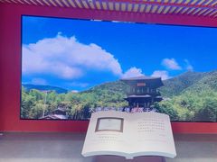 -大唐贡茶院