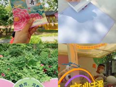 -太阳宫公园