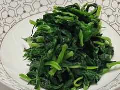 鸡油豆苗-粤界(望京金辉店)