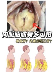 -Fundi张玉珊修身堂·indiba·BTL科技瘦身