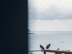 -三亚亚龙湾万豪度假酒店