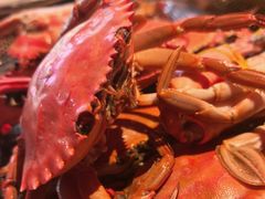-山河屯铁锅炖鲜鹅·东北菜(开发区一店)
