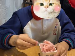 -野人牧坊Gelato(苏州中心店)