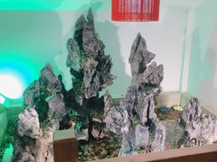 -农家小院(朱雀桥店)