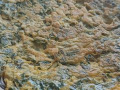 -黎家风味餐厅(锦绣花园店)