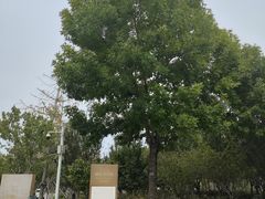 -汉梁文化公园