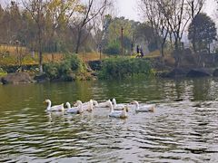 -两江国际影视城