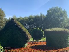 -长白岛森林公园