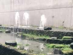 -中国湿地博物馆