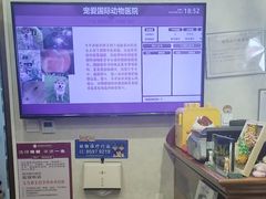-宠爱国际动物医院·疑难骨科·心肾内科·皮肤科(太阳宫店)