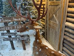 -HERRE·FARM 赫尔露营农场·团建聚会包场