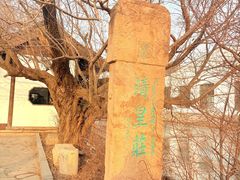 -爱新觉罗皇家博物院
