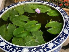 -苏州独墅湖书香世家酒店