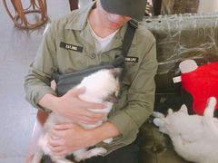 -猫色咖啡·猫咖