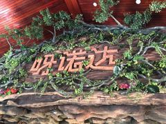 -呀诺达热带雨林