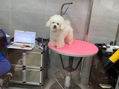 -宠福鑫康馨动物医院·骨科·眼科