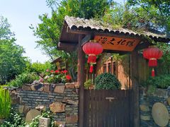 -鹅湖玫瑰文化园