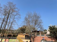 -桃源山庄·水蜜桃采摘·柴火鸡·烧烤团建(龙泉山店)