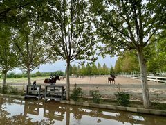 -北京群众马术培训基地