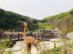 -北京西山国家森林公园