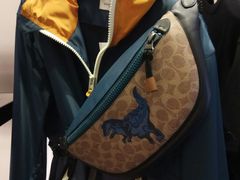 -COACH蔻驰(双安商场店)