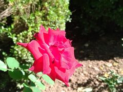 -皇城根遗址公园-东安门遗址