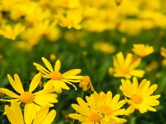 -苏州河梦清园环保主题公园