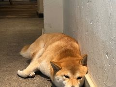-三目仓咖啡(贤南路店)