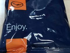 -德国汉莎航空公司